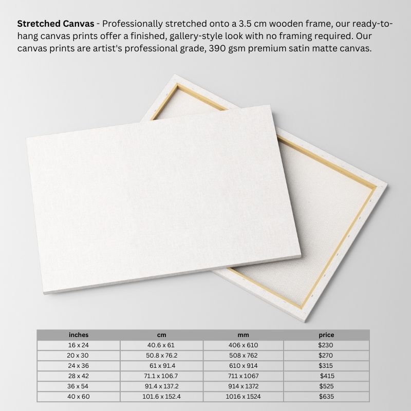 stretched canvas pricing